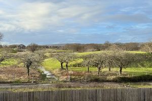 Bedroom 1 Current Outlook- click for photo gallery